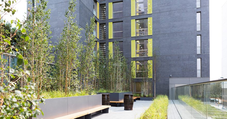 a view of a courtyard with benches and plants